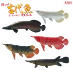 กาชาปอง Arowana Arapaima Alligator Float! Ancient Fish