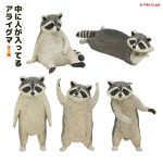 กาชาปอง Raccoon Posing Miniature Figure Collection