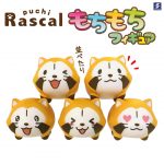 กาชาปอง Puchi Rascal the Raccoon MochiMochi Figure