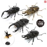 กาชาปอง Stag Beetles Kuwagata 03 Capsule Figure (S4)