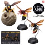 กาชาปอง Potter Wasps Capsule Figure Collection