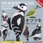 กาชาปอง Woodpecker Action & Magnet Collection