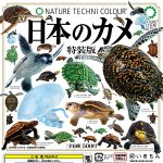 กาชาปอง Nature Techni Colour Japanese Turtle Special