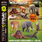 กาชาปอง WILD RUSH v.4 Asia Tropical Figure