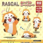 กาชาปอง Rascal Plush Ball Chain Collection