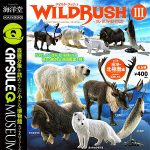 กาชาปอง WILD RUSH v.3 Polar & Arctic Circle