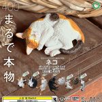 กาชาปอง Cat Sleeping Ball Chain Figure Collection