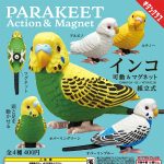 กาชาปอง Parakeet Action & Magnet Collection