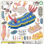 กาชาปอง Sea Slug Magnet Figure Collection