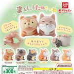 กาชาปอง Manju Tanukitsune Raccoon Dog & Fox