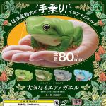 กาชาปอง Big Australian Green Tree Frog Figure