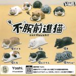 กาชาปอง Fufuku Zenshin Neko Cat Figure Collection